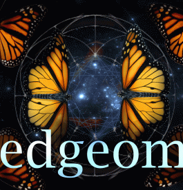 cropped-new-logoweb_edited-992.gif